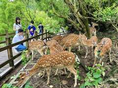 图2.适合亲子同游的寿山动物园照