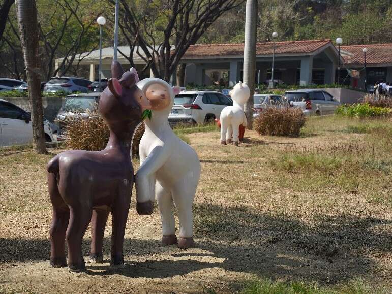 Tourism Bureau's Success in Revitalizing the Scenic Area Double