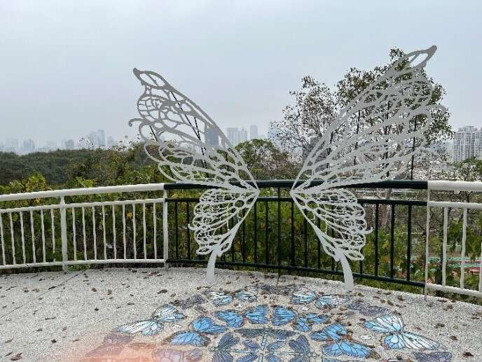 Tourism Bureau's Success in Revitalizing the Scenic Area Double