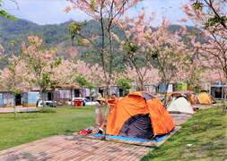 图7. 高雄六龟山林花语的远山望月露营场。