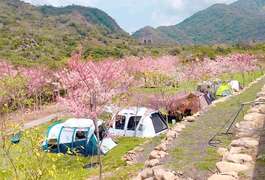 图8. 高雄六龟山林花语的远山望月露营场。