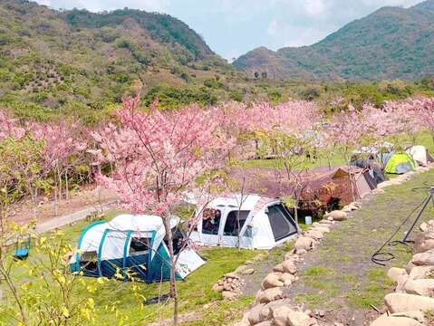 图8. 高雄六龟山林花语的远山望月露营场。