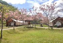 图5. 高雄六龟山林花语的远山望月露营场。