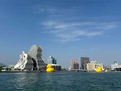 图17.鲸鱼堤岸可拍到两只小鸭画面