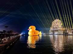 圖10、晚上搭配愛河灣燈光展演，歡迎民眾捕捉不同視角的小鴨照