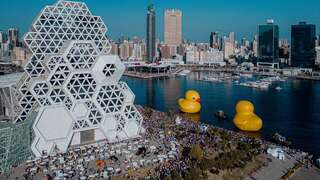 图4、黄色小鸭合体亲嘴浪漫过情人节