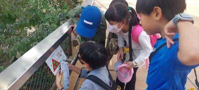 图片6「亲子益智动物解密」不仅学习动物知识更考验团队合作