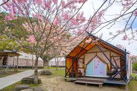 图6：宝来花赏温泉公园内有合法露营区可供住宿