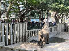 图4：儿童连假免费入园，带动参观人次