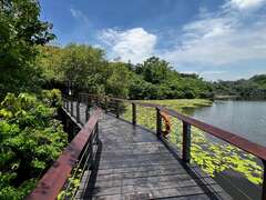 图6：鸟松湿地木栈步道更新