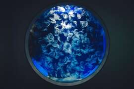 图7 寿山动物园与北部人气水族馆Xpark推出双馆联票