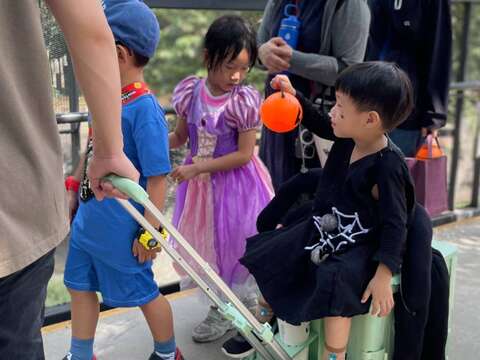 图7 小朋友变装漫步动物园空桥