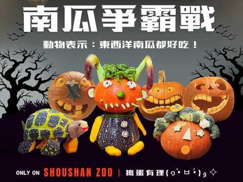 图10 寿山动物园东西洋南瓜争霸战图卡