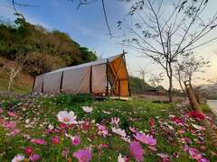 9.宝来花赏景区春暖花开