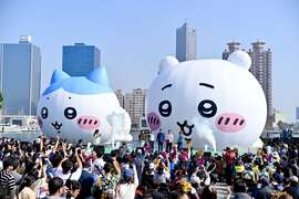 图1、民众抢拍吉伊卡哇及小八猫。