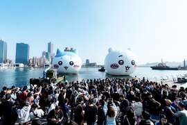 图2、民众抢拍吉伊卡哇及小八猫。