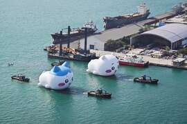 图6、吉伊卡哇与小八猫进港画面。