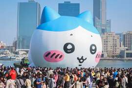 图8、小八猫照片。
