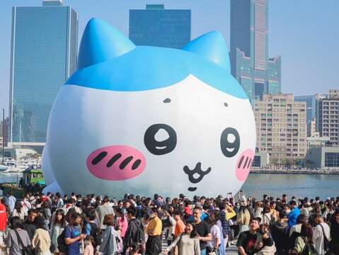 2.小八猫在靠近高雄流行音乐中心音浪塔前海面