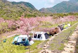 图12.宝来花赏温泉公园内「远山望月温泉露营区」合法露营区
