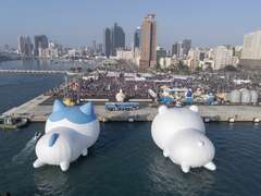 图12、三只小可爱於17号码头区合体同框