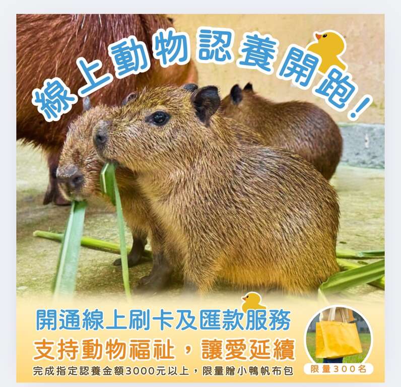 图1 线上动物认养单笔满3000元,前300名加赠限量好礼
