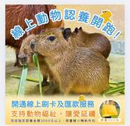 图1 线上动物认养单笔满3000元，前300名加赠限量好礼