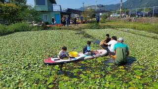 图四：在水草池体验桨板观察湿地(美浓湖水雉复育工作站提供)