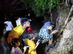 Hình 8: Cùng Hướng Dẫn Viên Tìm Hiểu Địa Phương Sinh Thái Ban Đêm Lục Quôi