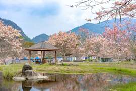 图12.宝来花赏温泉公园体验最自然的疗癒之旅_0