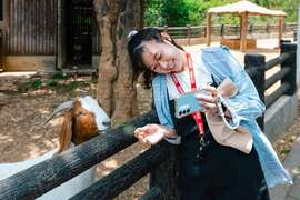 图3.波尔羊喂食体验