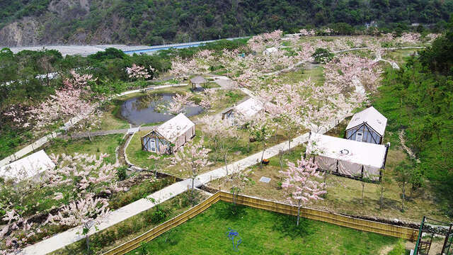 바오라이 꽃 구경 온천공원