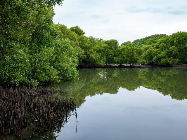林園海洋濕地公園全台唯一的水母湖