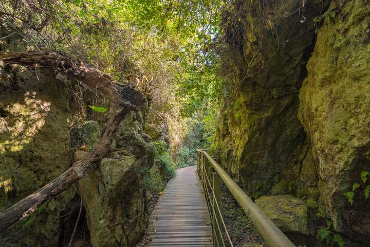柴山登山步道自然景觀