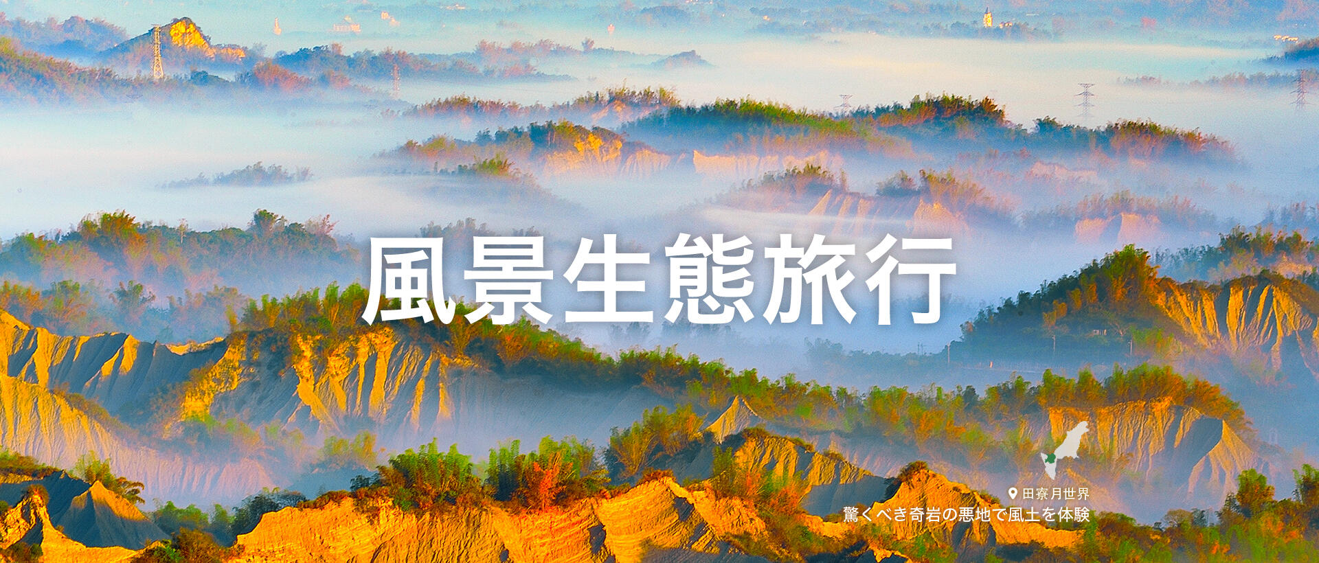 風景生態 旅行