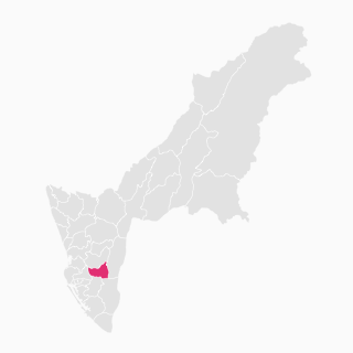 Niaosong Dist.-Location map