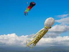 치진 헤이샤 놀이축제,  7/31연날리기 공연쇼에서 백여개의 연이 하늘을 향해 날아올라 치진의 해변을 아름답게 수놓다.