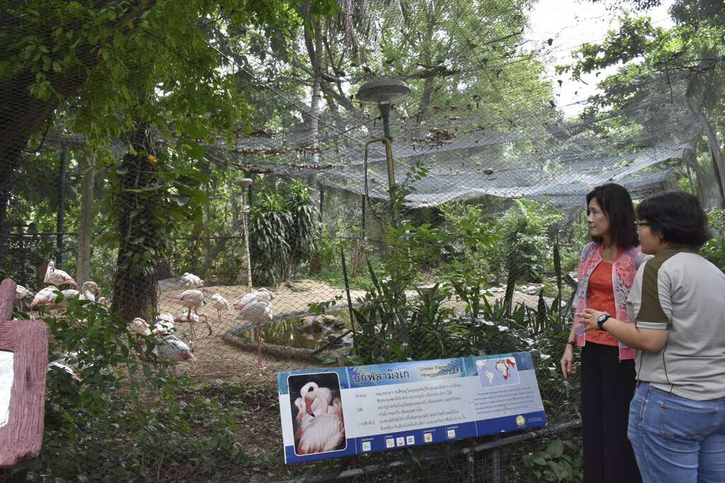 壽山動物園未來藍圖計劃借鏡泰國國家動物園管理局