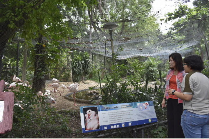壽山動物園未來藍圖計劃借鏡泰國國家動物園管理局