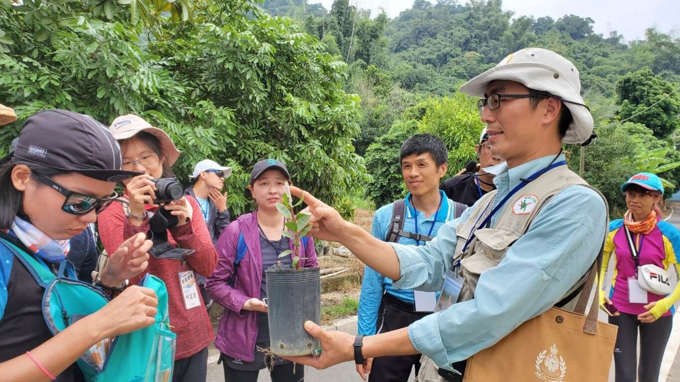 导览员带领游客，漫游金山社区