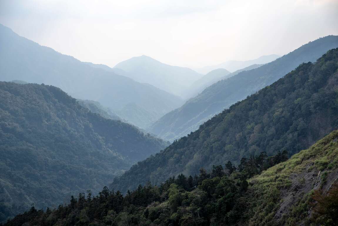 藤枝國家森林遊樂區可登高望遠