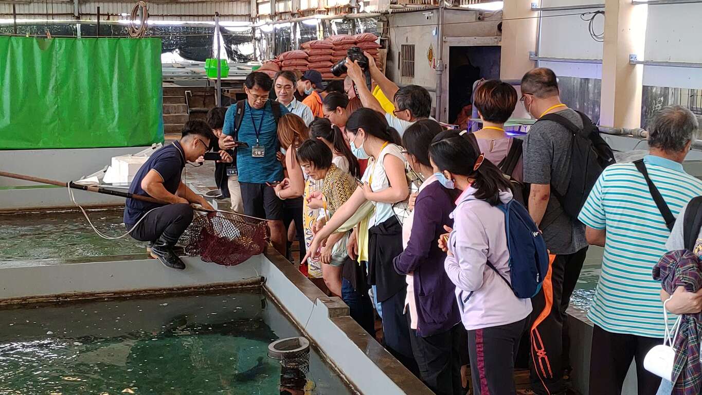 遊汕玩水-任志在地石斑魚養殖(圖片為去年活動照)