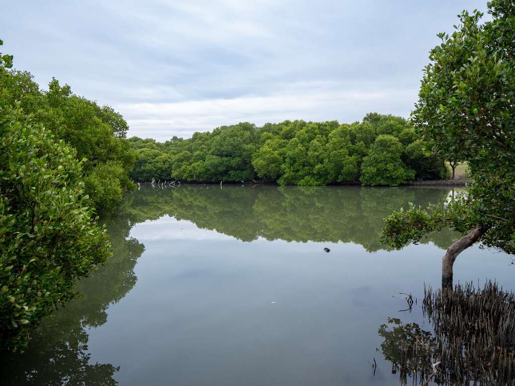 林园海洋湿地公园水母湖自然生态