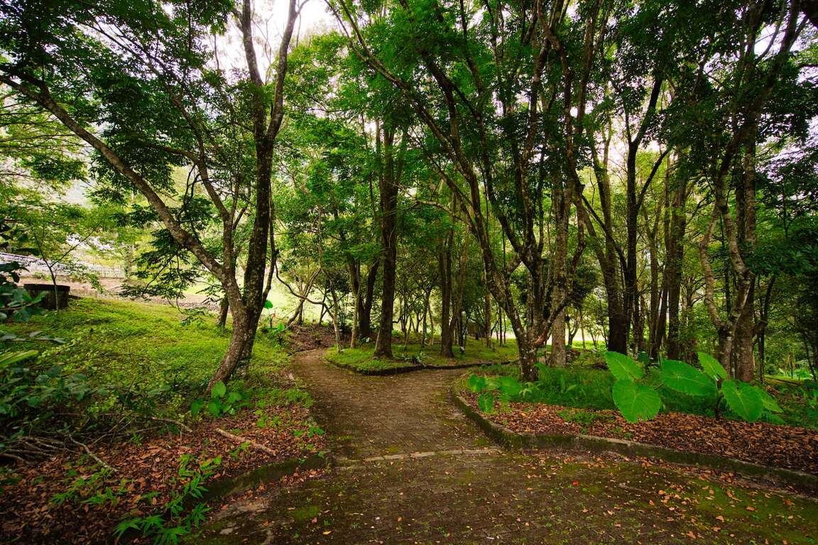 梅山游客中心－森林步道