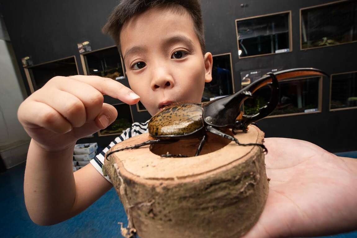 図2：寿山動物園は台湾昆虫館と協力し、昆虫展を開催。（写真提供：台湾昆虫館）