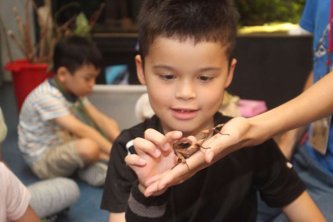 図3：寿山動物園は台湾昆虫館と協力し、昆虫展を開催。（写真提供：台湾昆虫館）