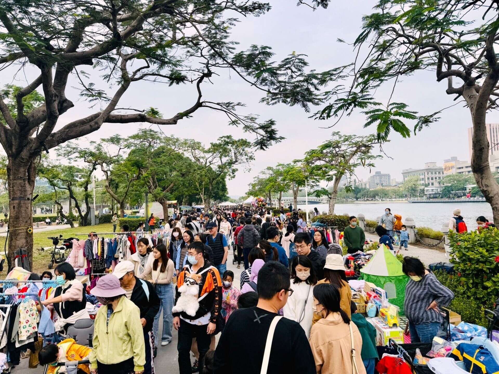 圖8.小樹市集是許多家長挖寶的好所在