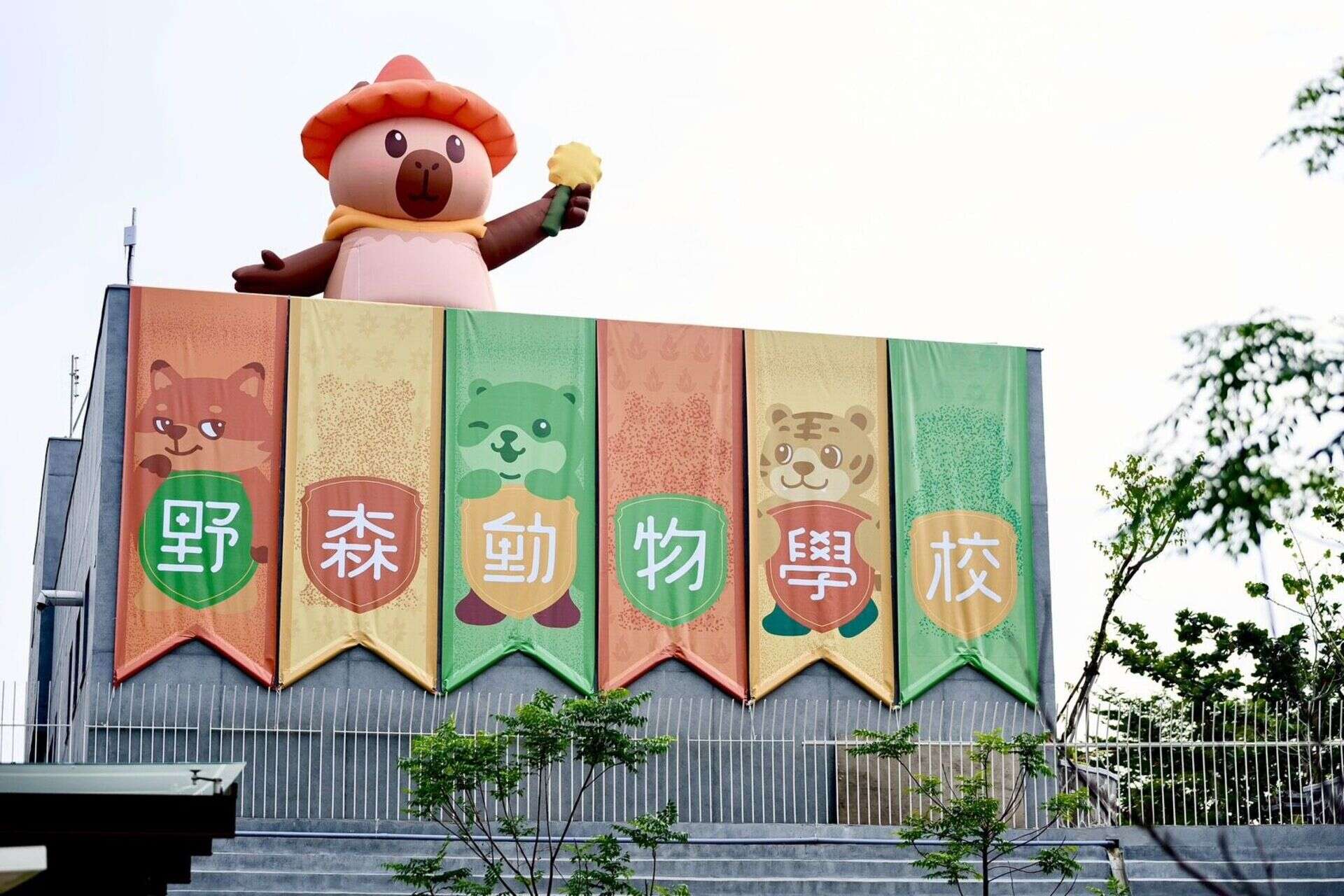 圖1 .「野森動物學校」即將在115年第一季試營運