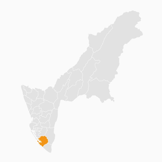Xiaogang Dist.-位置圖